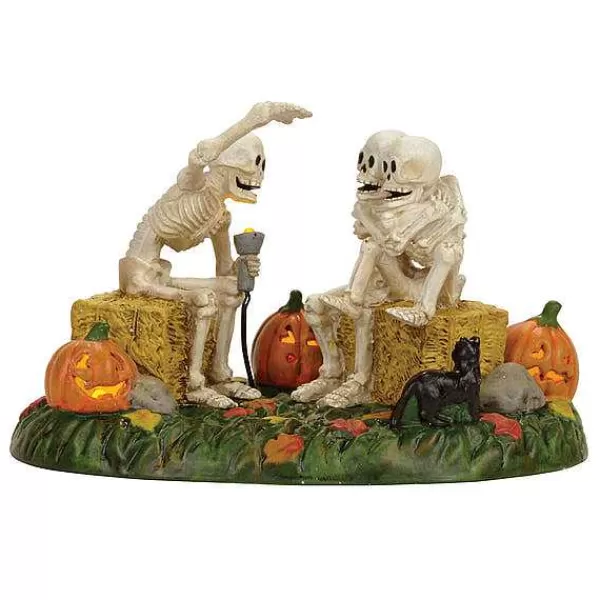 Department 56 Snow Village Halloween<Scary Skeleton Stories